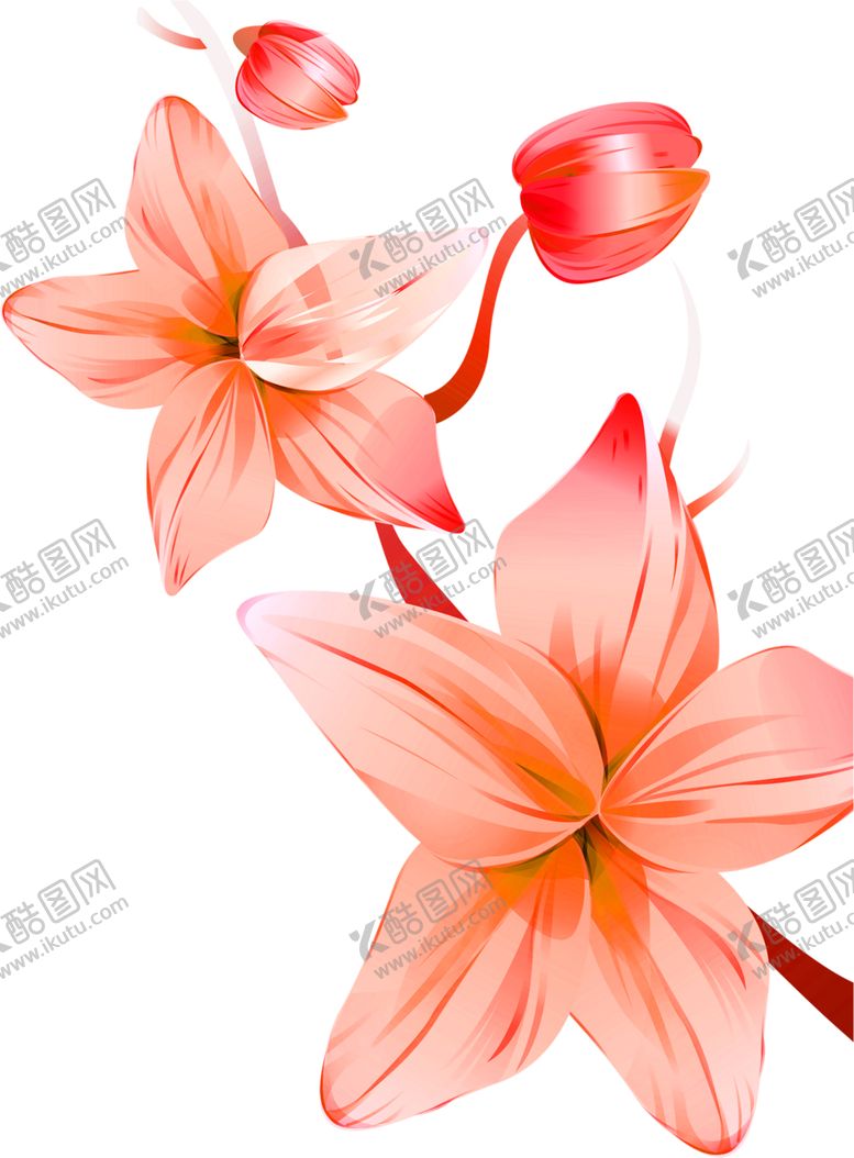 编号：65511910192359032581【酷图网】源文件下载-花素材