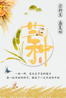 芒种海报