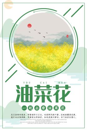油菜花