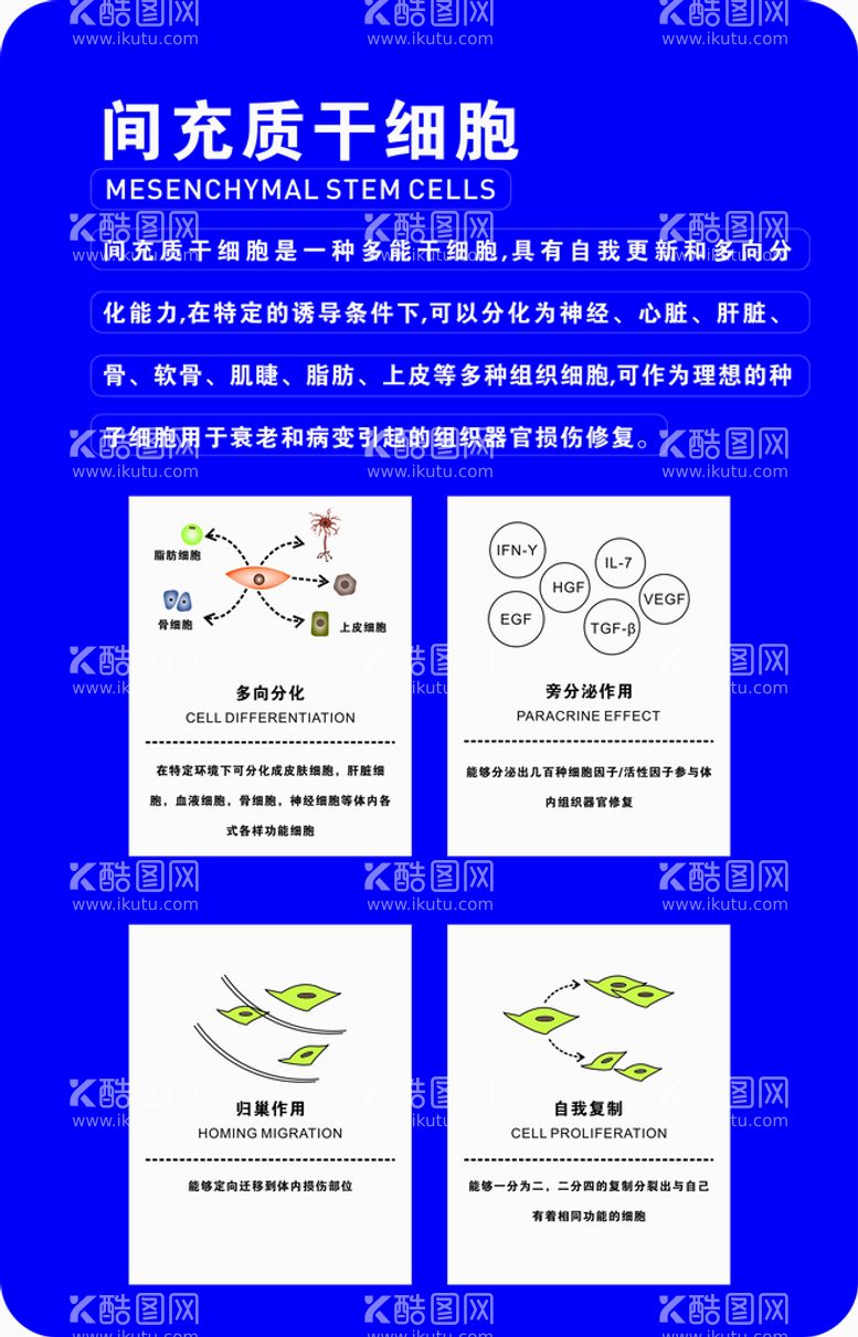 编号：76193612151758158271【酷图网】源文件下载-间充质干细胞