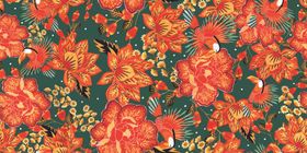 花鸟样衣扫描版