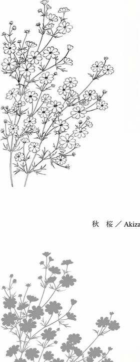 日本线描植物花卉矢量素材