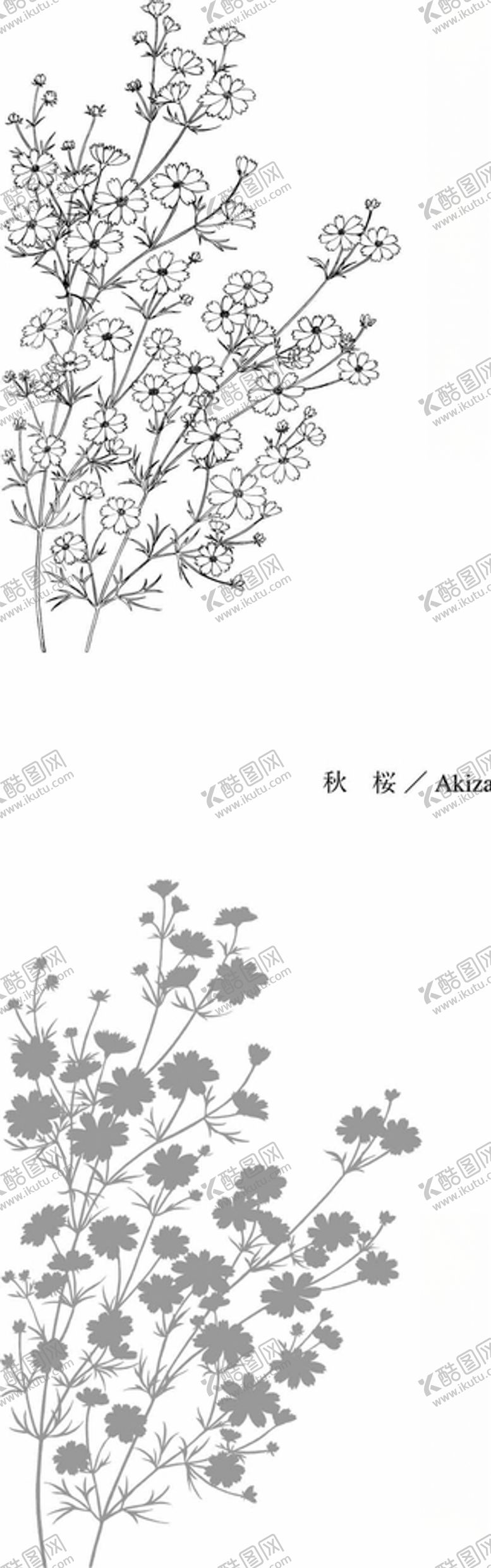 编号：43479510251008267484【酷图网】源文件下载-日本线描植物花卉矢量素材