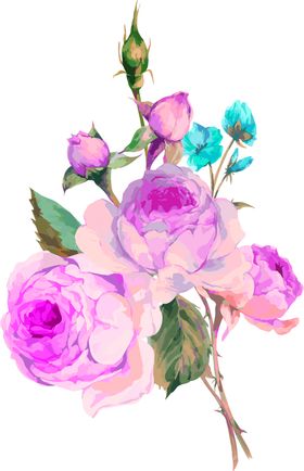 鲜花素材小清新朵彩色唯美