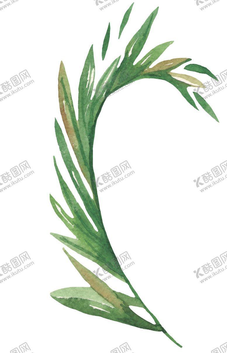 编号：39219610031731172157【酷图网】源文件下载-水彩植物花朵图案