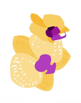荷花花苞png