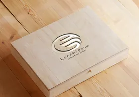 logo样机纹理字字体设计标志效果