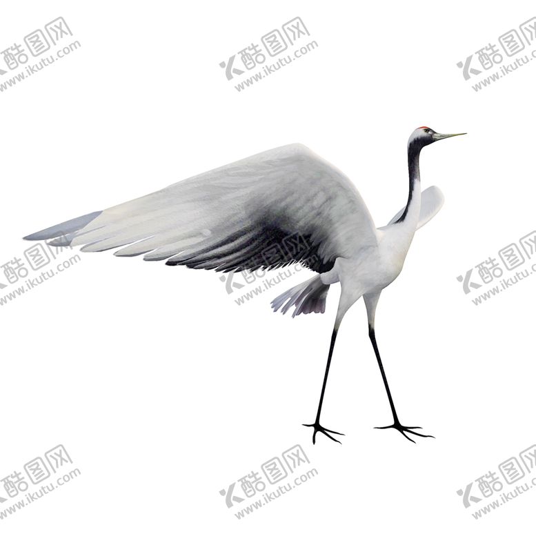 编号：35254306250640354709【酷图网】源文件下载-中国风仙鹤丹顶鹤古风古典元素图