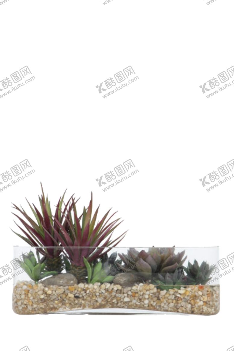 编号：41771307040453572004【酷图网】源文件下载-免抠背景花草树木
