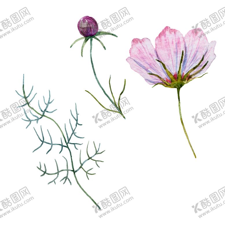 编号：57773209222058272674【酷图网】源文件下载-手绘植物