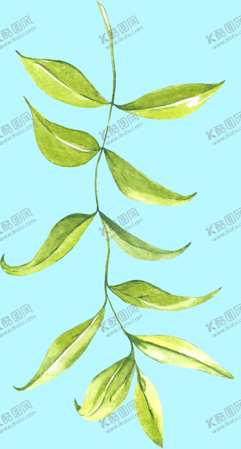 编号：35855107030752323775【酷图网】源文件下载-花卉树叶