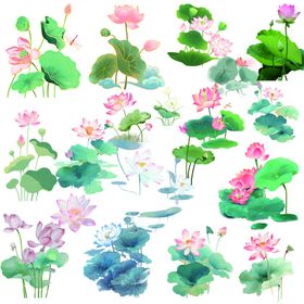 水墨风荷花荷叶插画素材