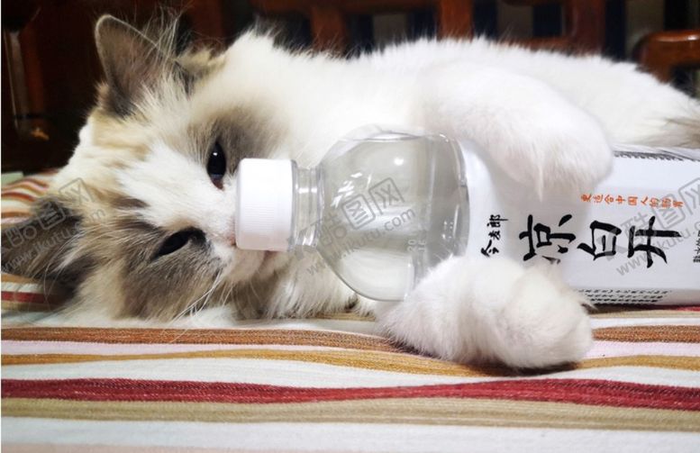 编号：78569507080737215651【酷图网】源文件下载-今麦郎凉白开“喝熟水舒服”