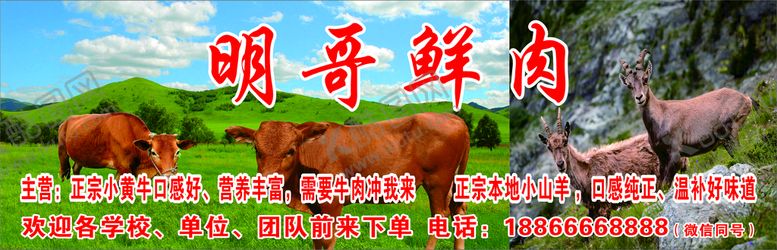 编号：62591310080919157410【酷图网】源文件下载-牛羊