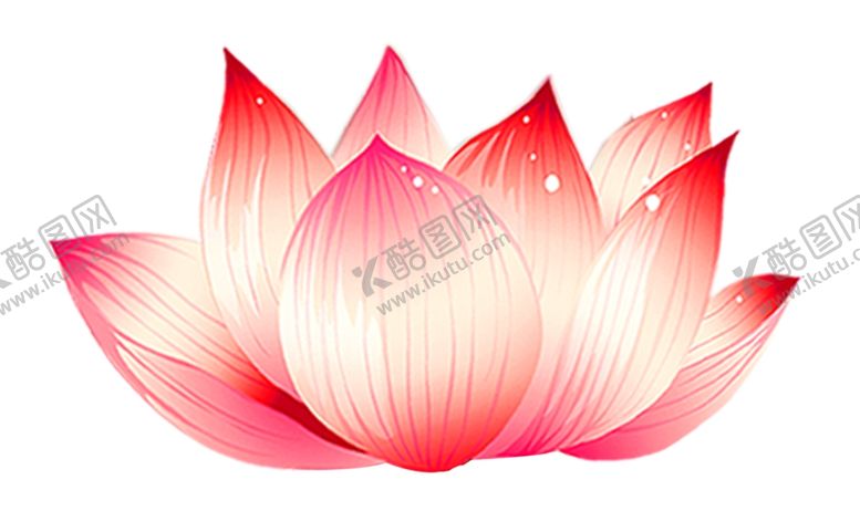编号：19354509111118221500【酷图网】源文件下载-荷花