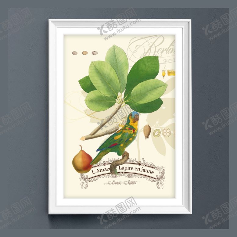 编号：81021809161235341130【酷图网】源文件下载-美式田园鹦鹉树叶装饰画