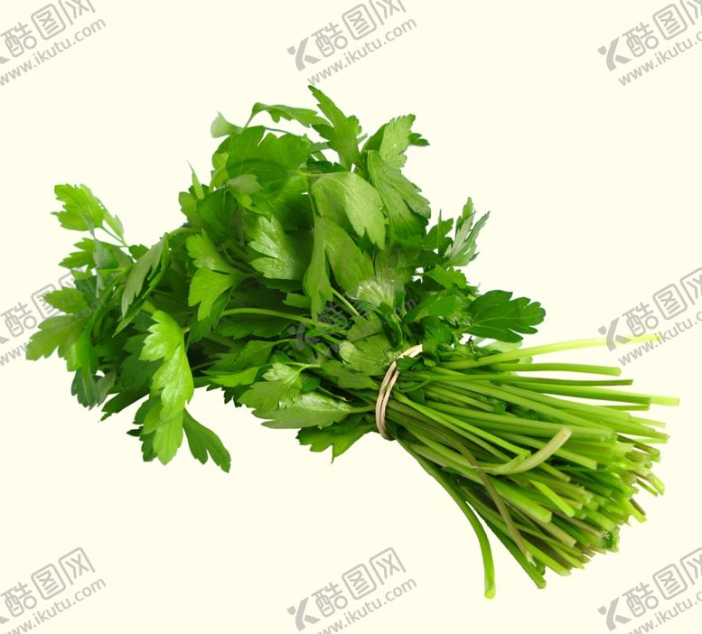 编号：64867309202358158304【酷图网】源文件下载-芹菜