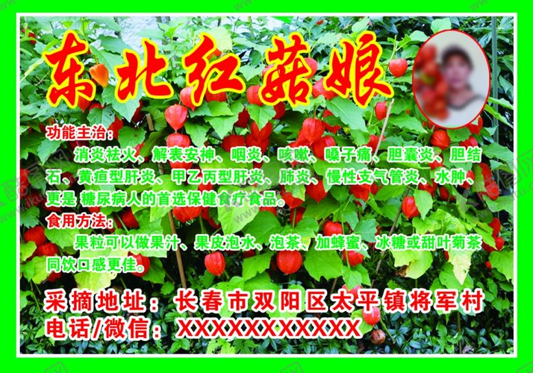 编号：56022701251930129206【酷图网】源文件下载-红菇娘
