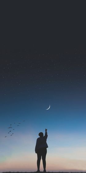壁纸