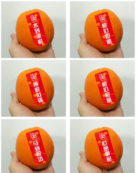 甜橙文案