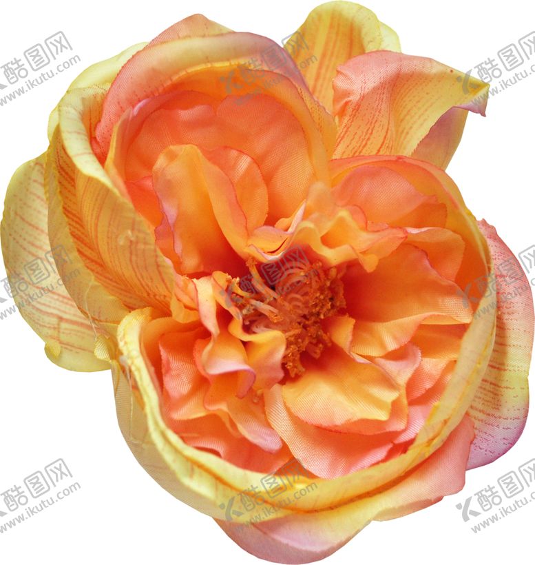 编号：15110510050119081818【酷图网】源文件下载-复古花朵植物图案