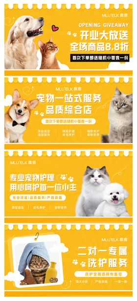 宠物海报轮播图动物寄