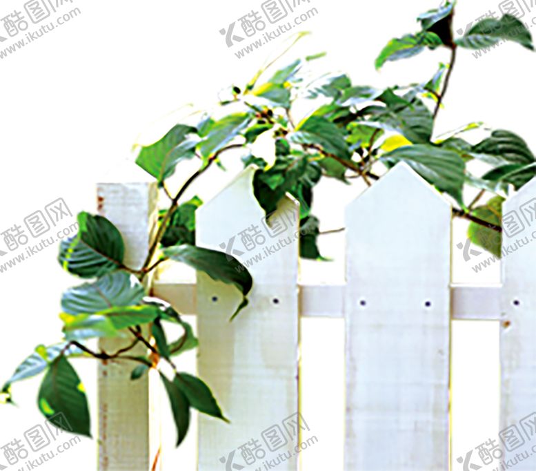 编号：91641606281100089741【酷图网】源文件下载-绿色植物
