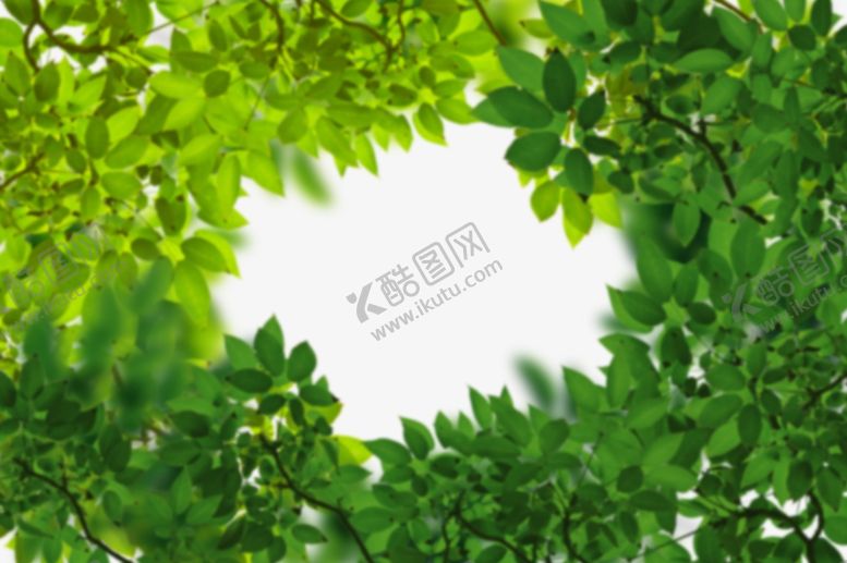 编号：63061310261043231944【酷图网】源文件下载-绿色树枝叶子透明背景合成素材