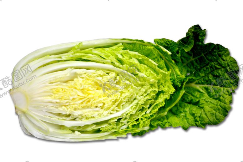 编号：57018409281231152312【酷图网】源文件下载-白菜