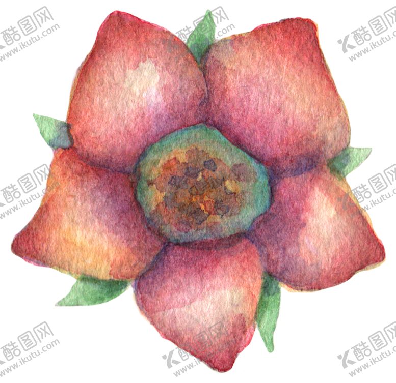 编号：92361809242238115075【酷图网】源文件下载-水彩植物