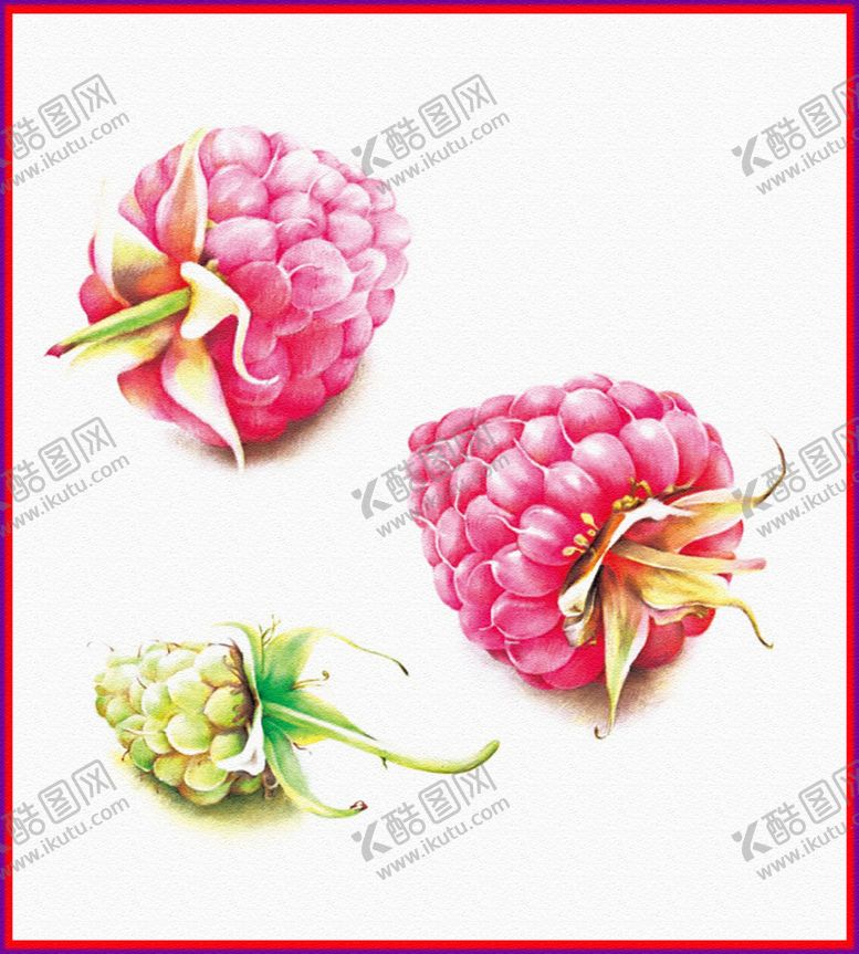 编号：21477005032306447823【酷图网】源文件下载-草莓