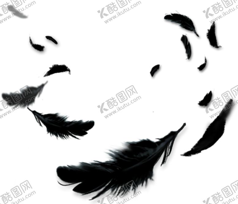 编号：67667110262012555173【酷图网】源文件下载-羽毛