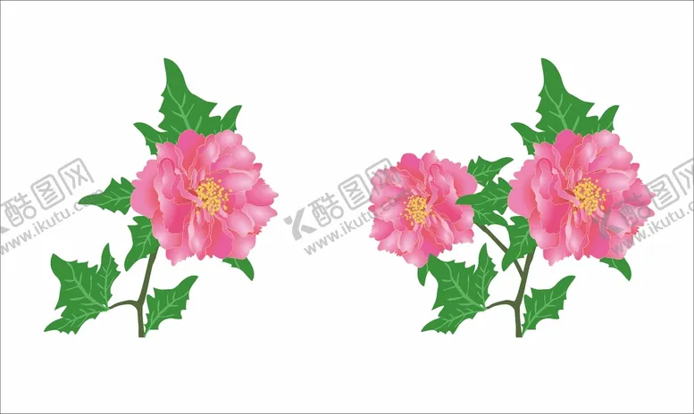 编号：39455610260637458242【酷图网】源文件下载-牡丹花矢量图
