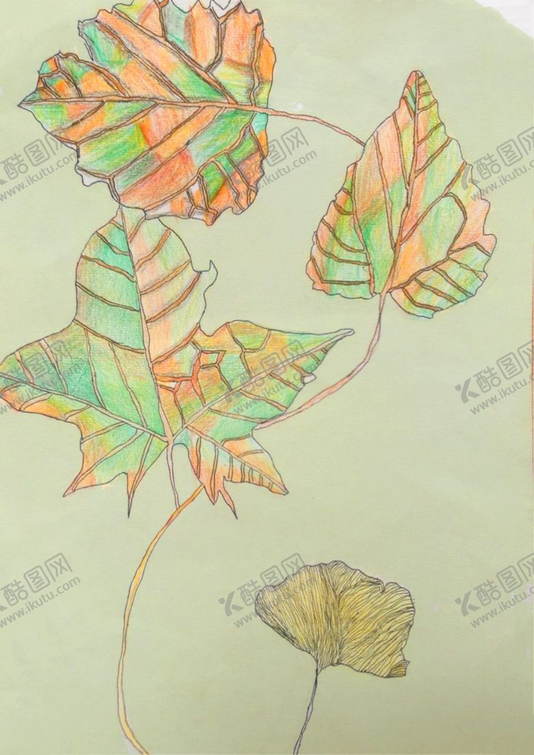 编号：55102109132043239512【酷图网】源文件下载-树叶彩铅色块绘画作品