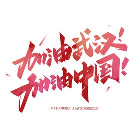 加油武汉加油中国