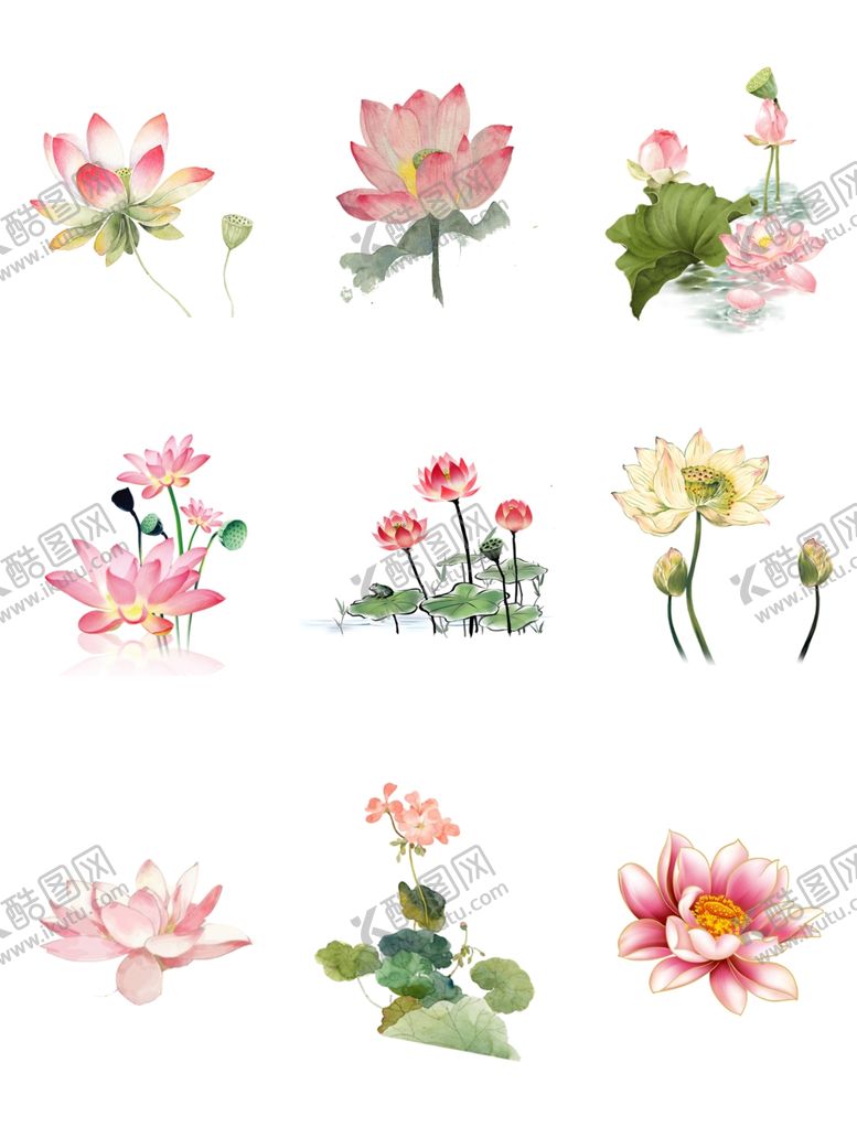 编号：43863509090757177035【酷图网】源文件下载-荷花