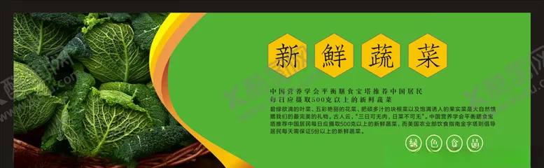 编号：40361204290659206455【酷图网】源文件下载-蔬菜海报