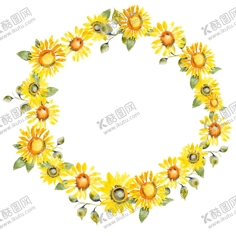 编号：47912206252228559198【酷图网】源文件下载-菊花素材