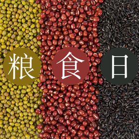 五谷杂粮海报谷物豆豆素材