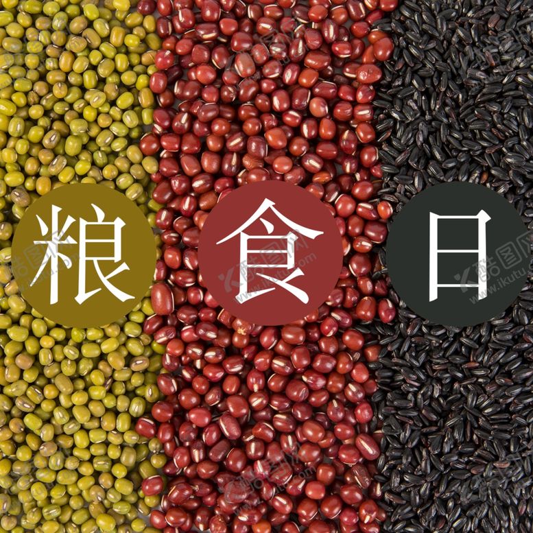 编号：97002006291337438141【酷图网】源文件下载-五谷杂粮海报谷物豆豆素材