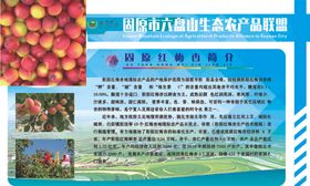 红梅杏简介