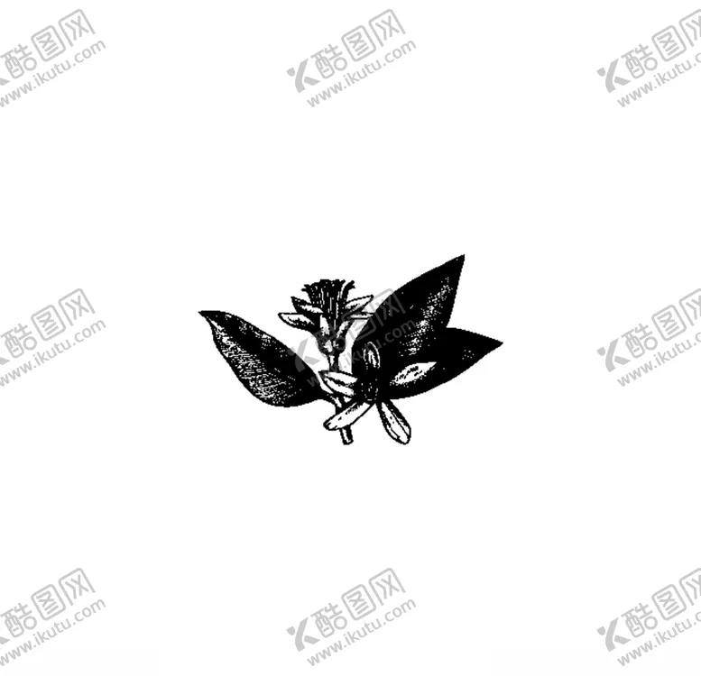 编号：25157404112149364750【酷图网】源文件下载-花朵