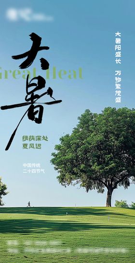 大暑节气海报房地产实景二十四