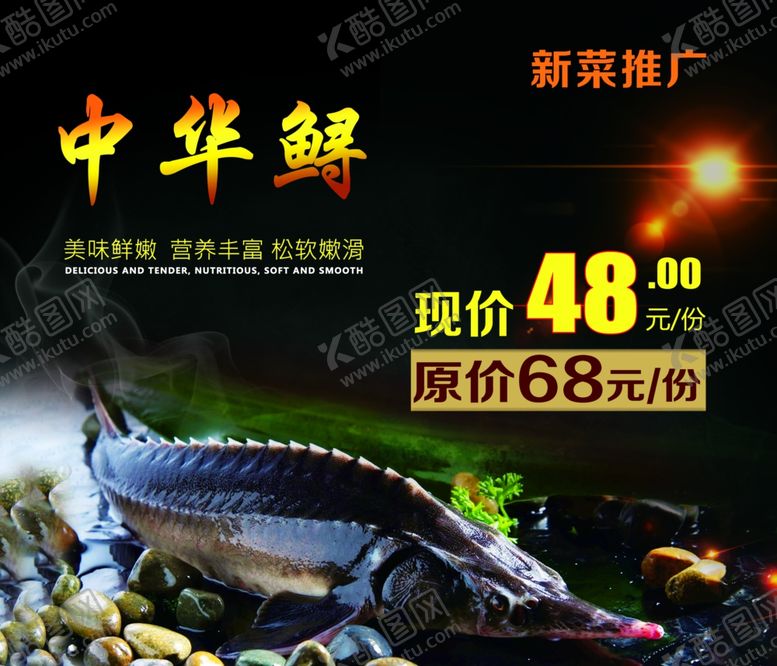 编号：39307209261858201872【酷图网】源文件下载-中华鲟