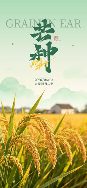 二十四节气之芒种