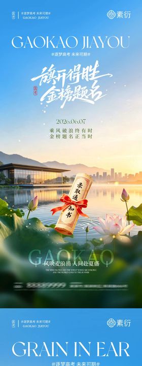 芒种节气简约摄影海报
