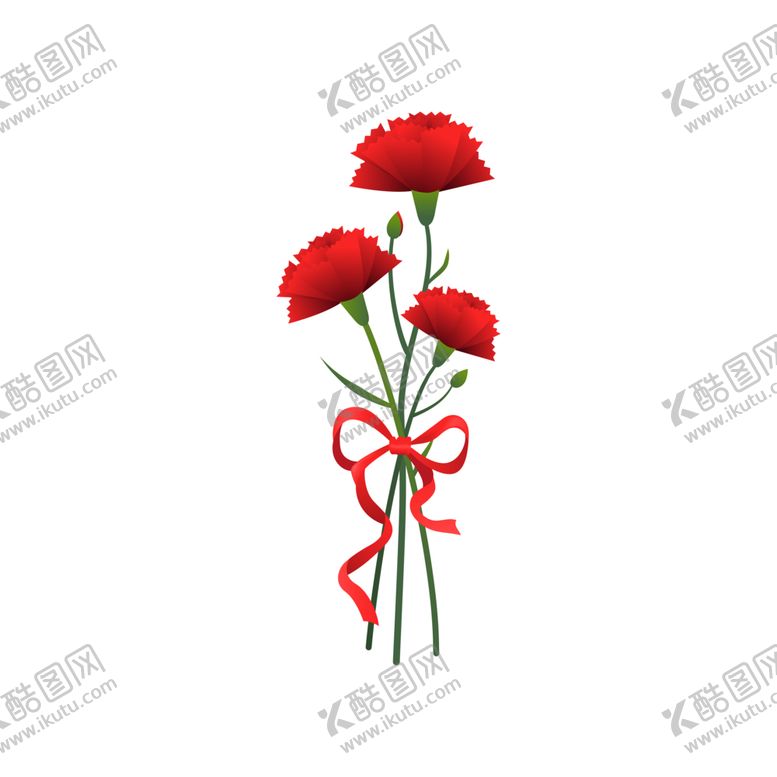 编号：99127802021710018368【酷图网】源文件下载-母亲节康乃馨美丽花朵