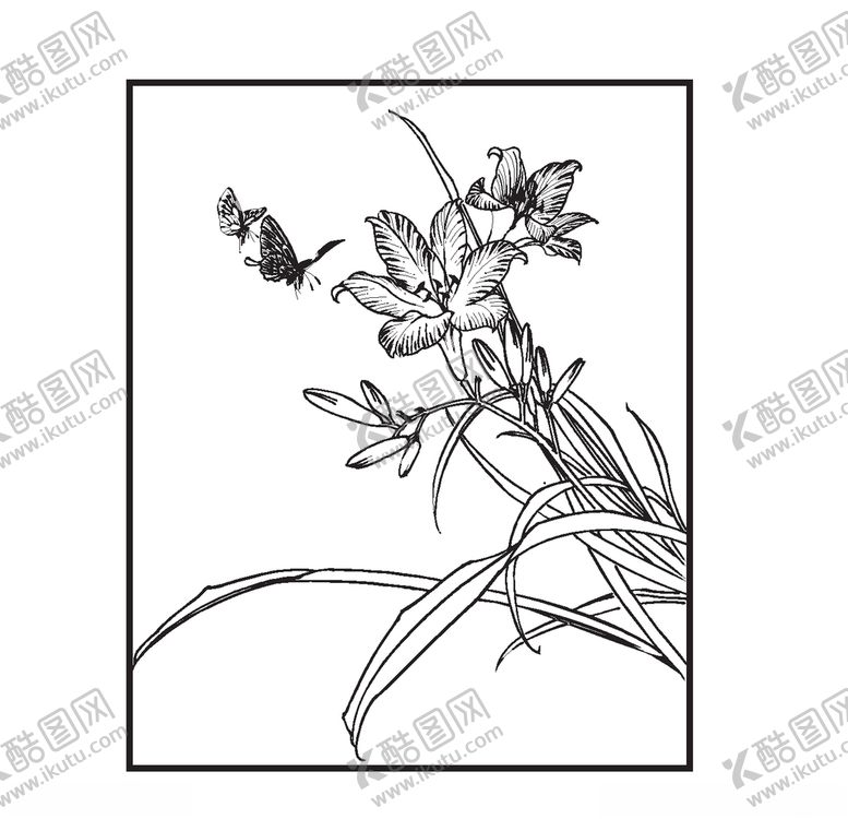 编号：78574310051629119910【酷图网】源文件下载-萱草