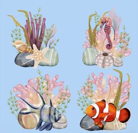 海洋动物