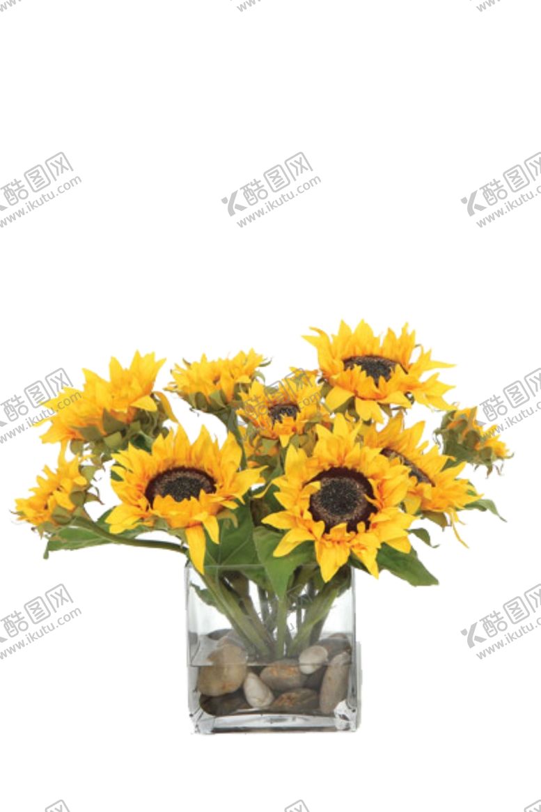 编号：50712410021359584088【酷图网】源文件下载-免抠背景花草树木